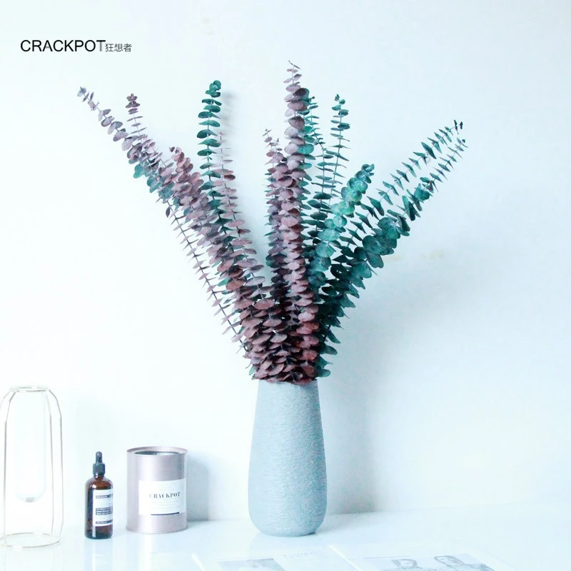 crackpot/狂想者优质永生小叶尤加利叶ins风干花束家居装饰叶材