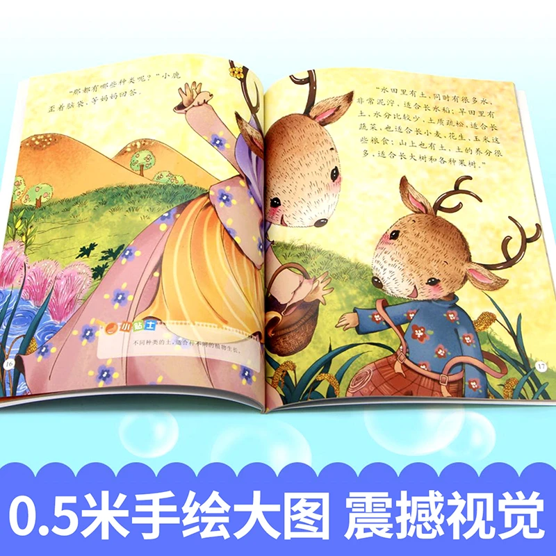 小牛顿科普绘本3-9岁 亲子共读 大尺寸  大图画绘本