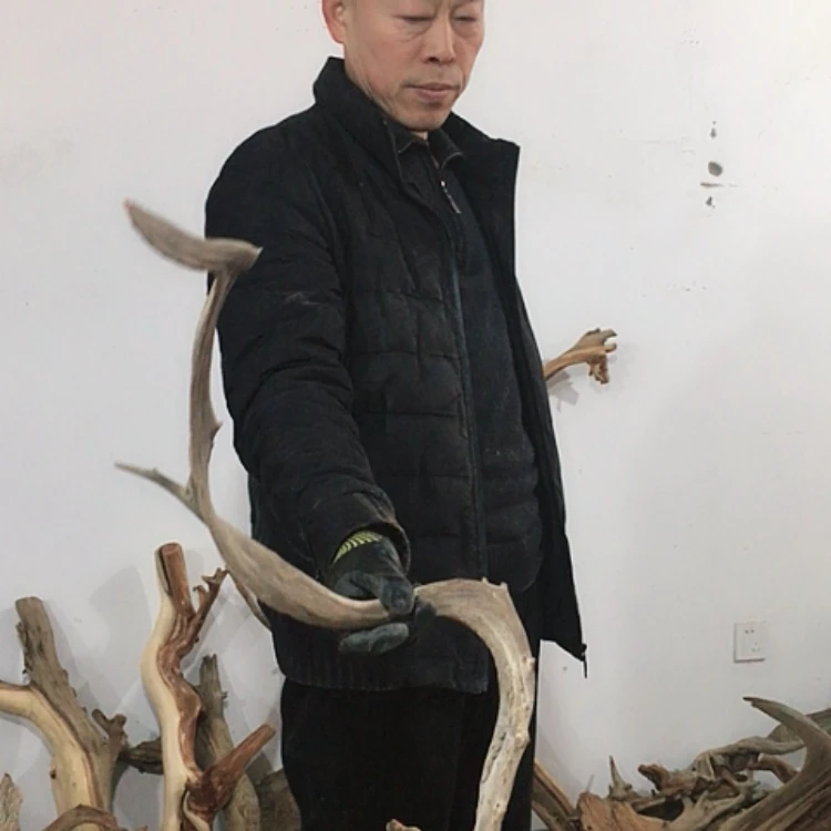 【闪购商品】崖柏根雕用****1