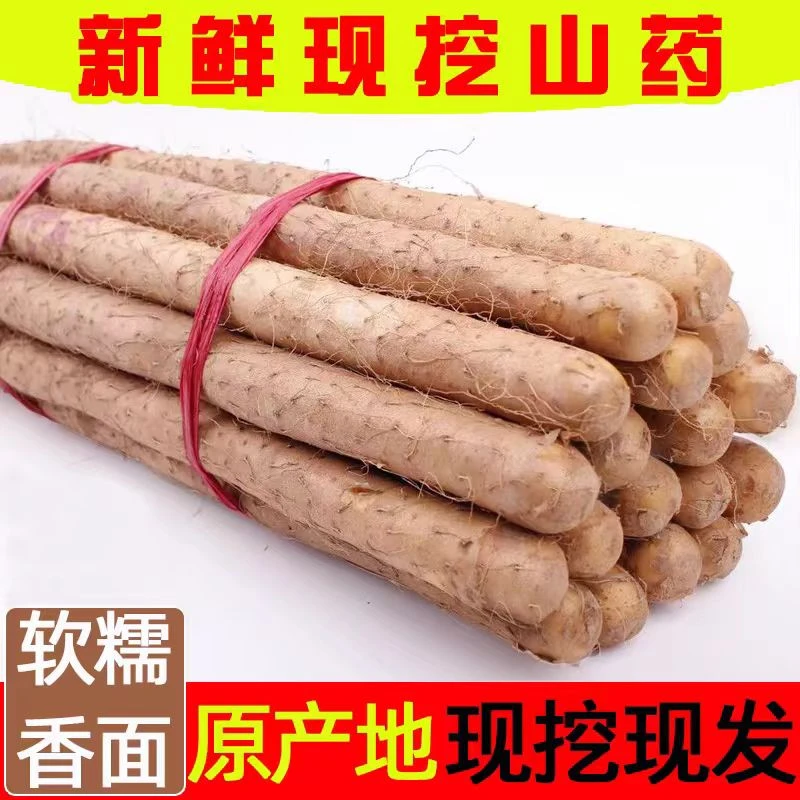 新鲜 铁棍山药山药 现挖现发甘甜软糯 净重五斤(60-80公分长)