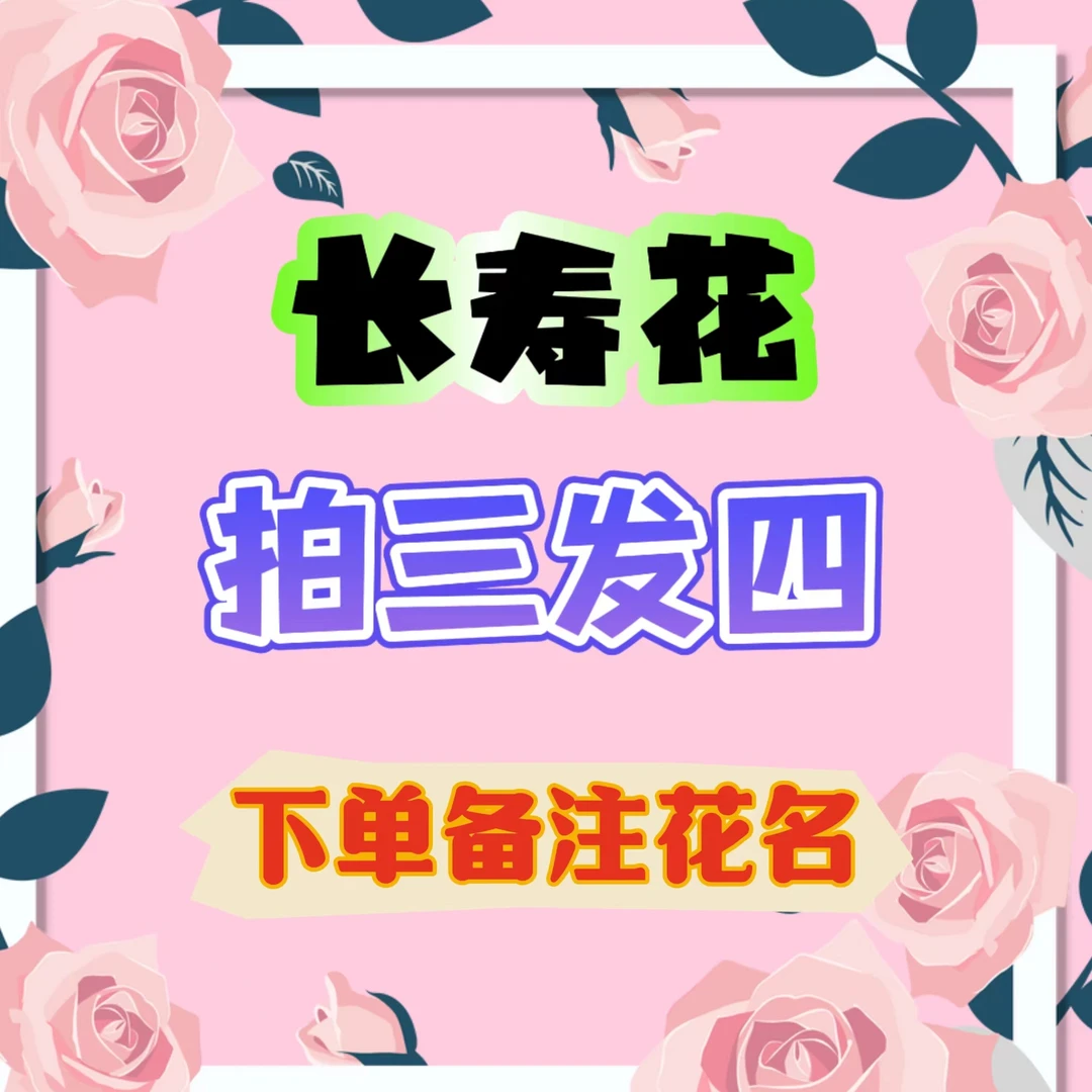 【拍三发四】盆栽重瓣盆栽独杆一代苗原土原盆