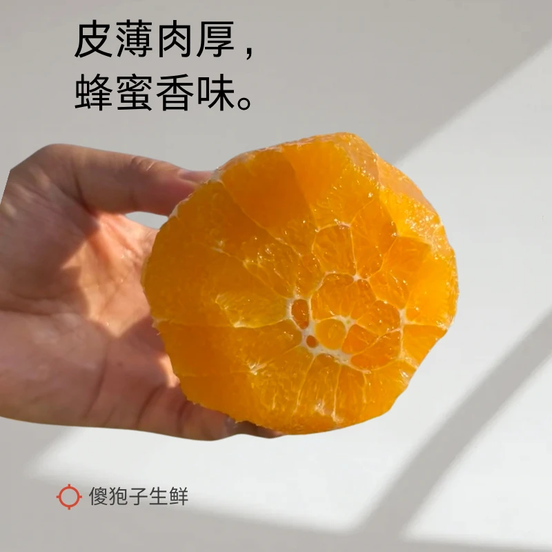 雷波脐橙四川大凉山金沙村正宗雷波脐橙水果整箱包邮 5/8斤现摘