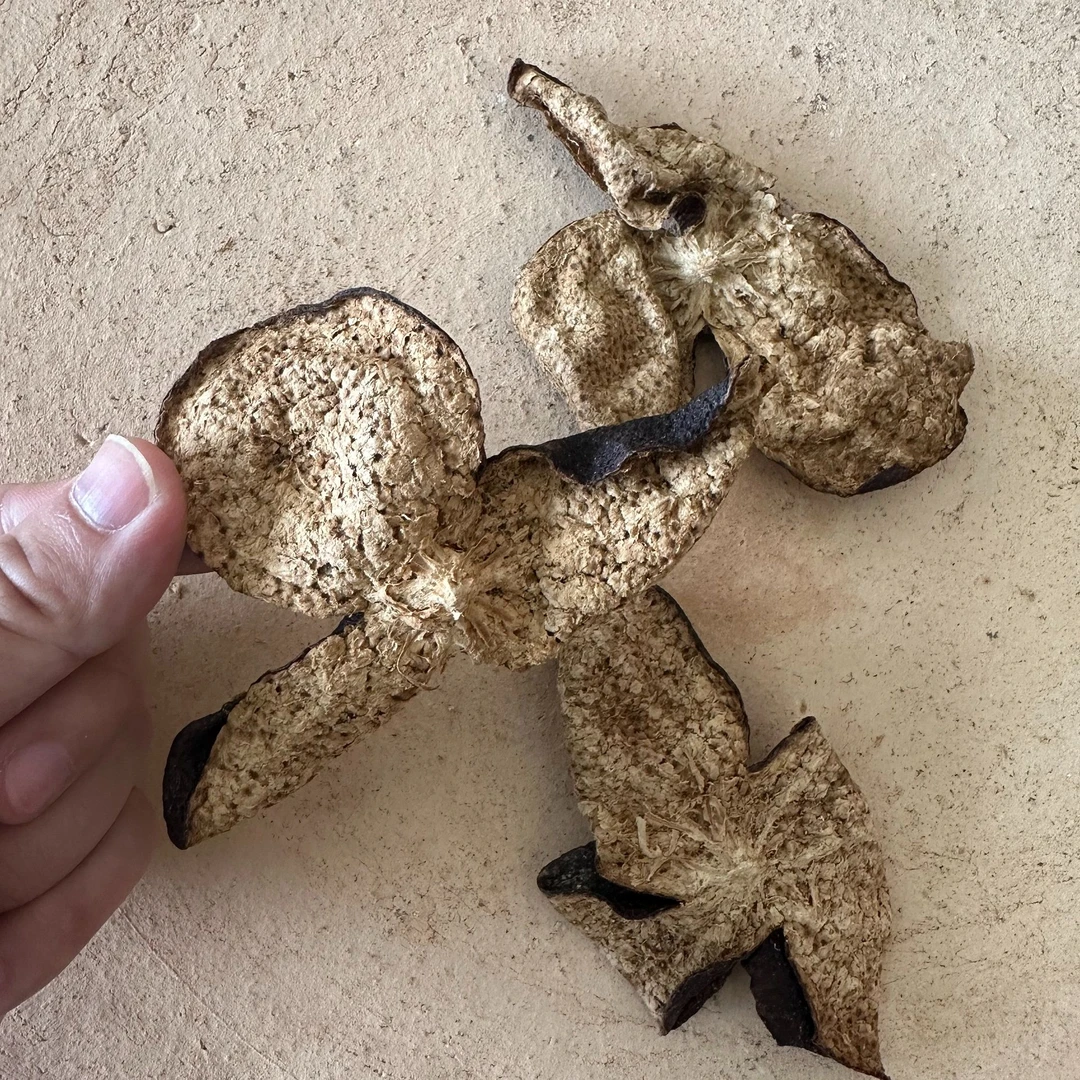 2009年天马圈枝大红皮  新会陈皮