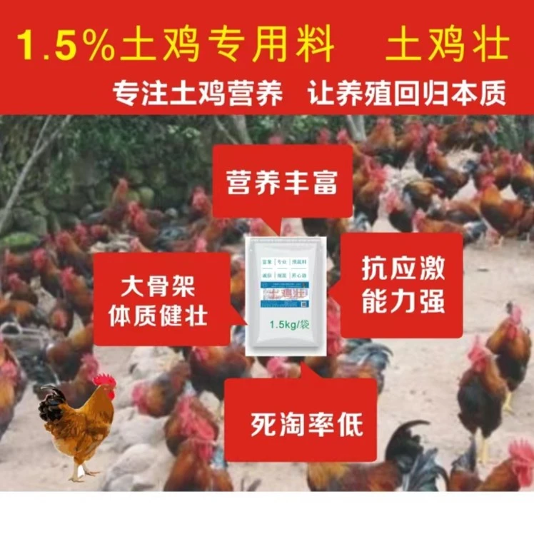 散养鸡养殖用预混料土鸡壮优质