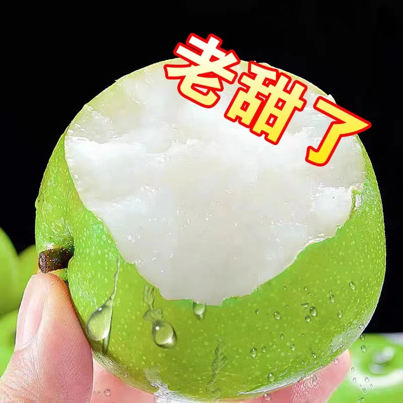 砀山青皮蜜梨脆甜无渣汁水新鲜水果梨砀山脆甜梨5斤脆甜多汁