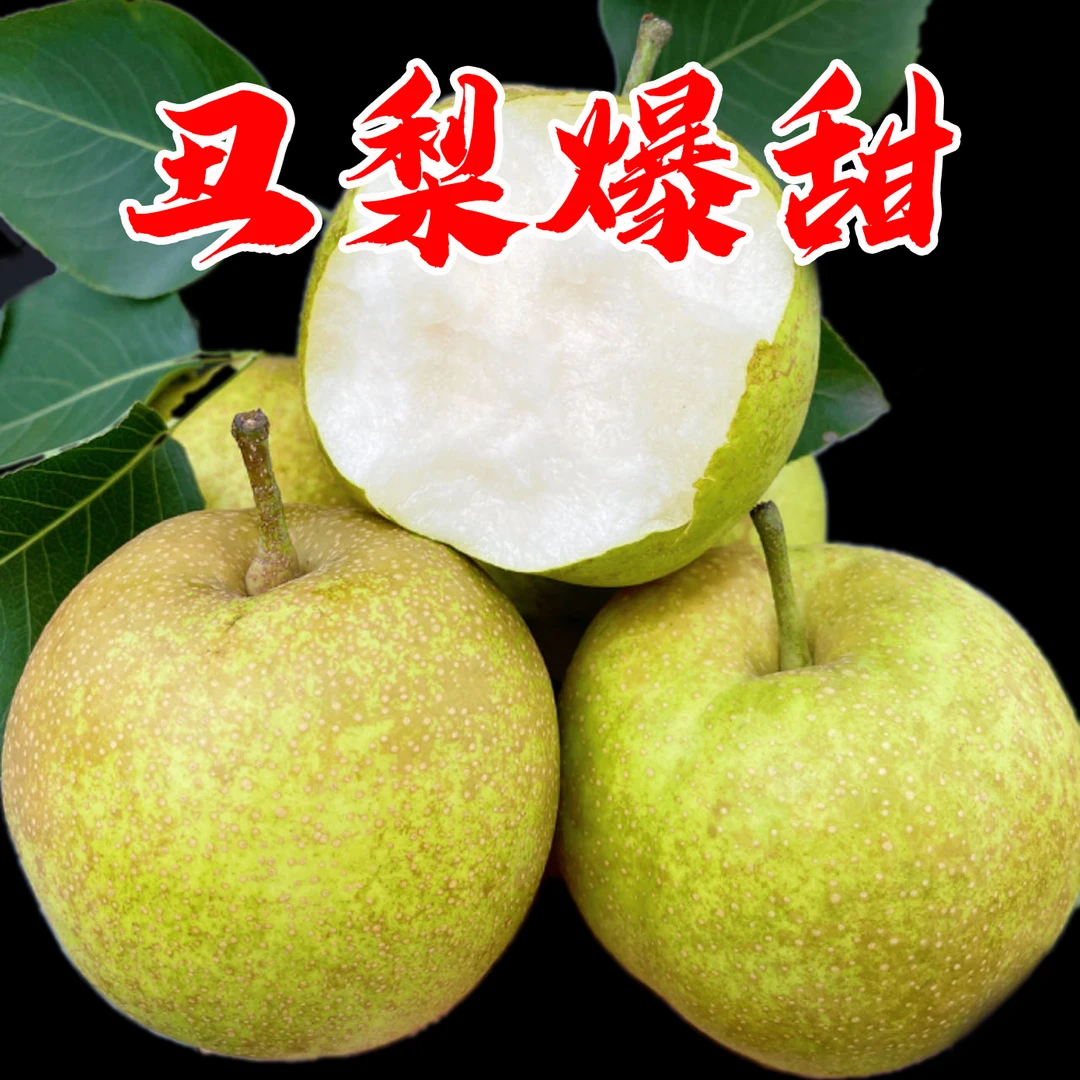 爆甜丑梨花皮梨新鲜梨子脆甜梨子细腻无渣