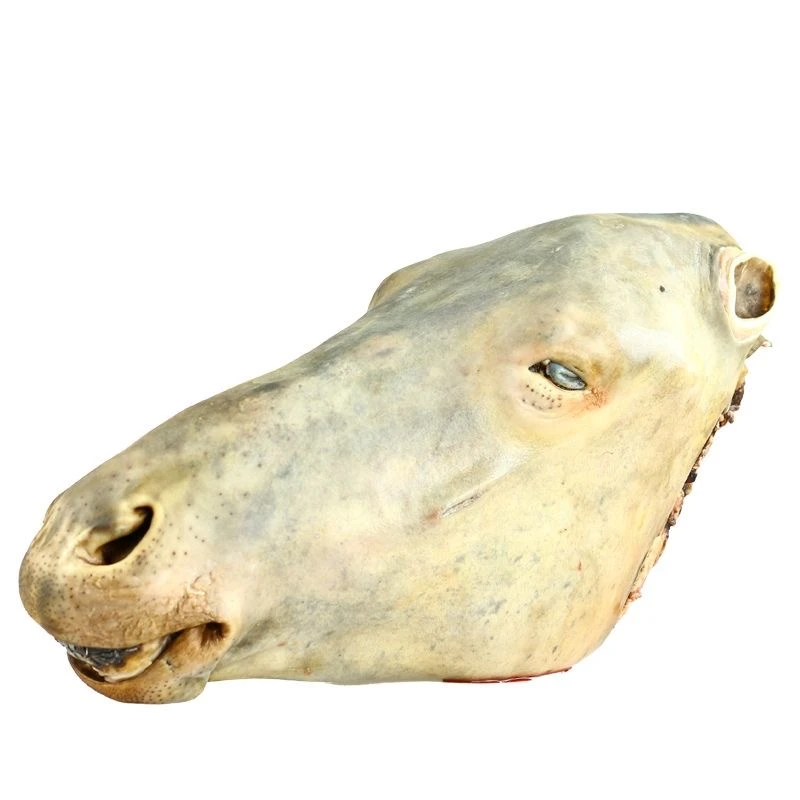 22-25斤新鲜骡马头