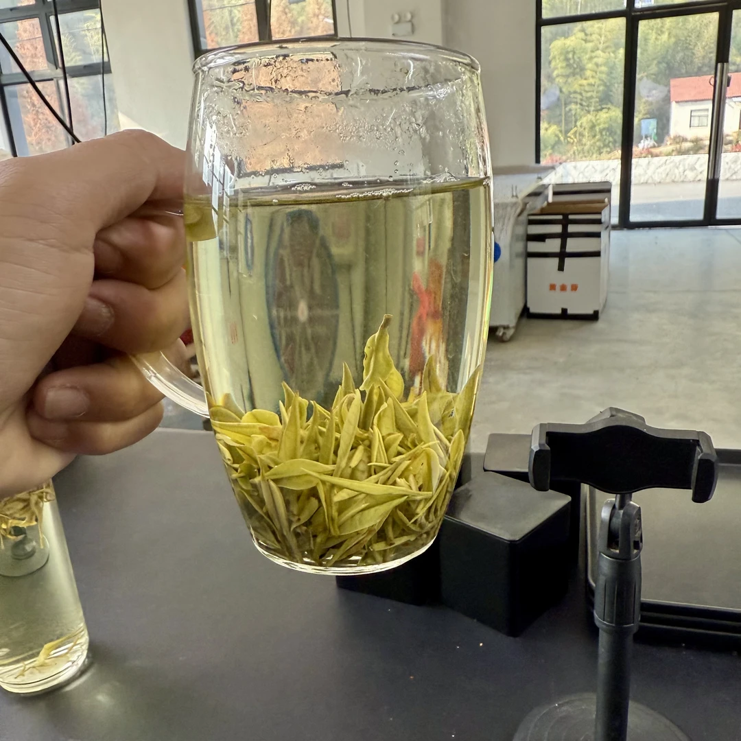 【小芽白茶】405G 昆铜兰花香 高山小芽头采