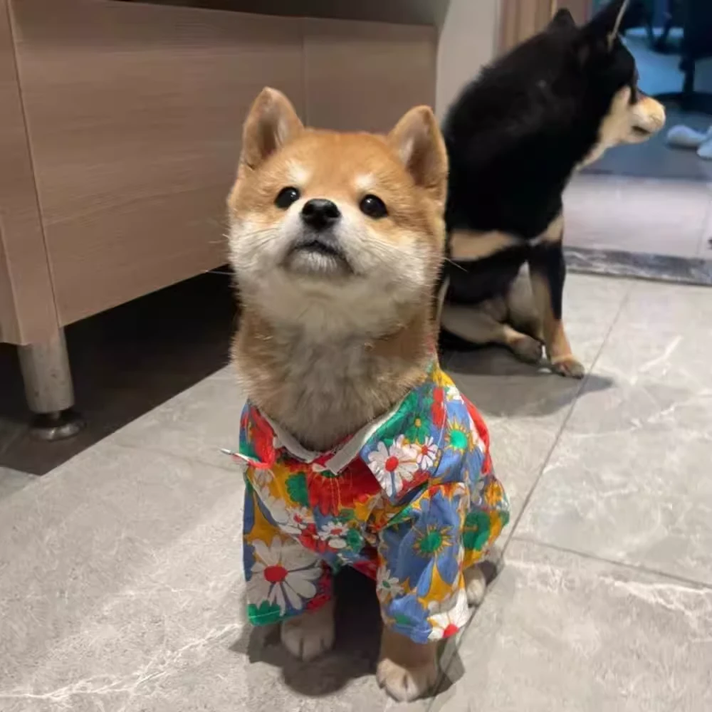 狗狗衣服夏季碎花透气衬衫薄款雪纳瑞比熊泰迪柴犬沙滩衣宠物衬衫