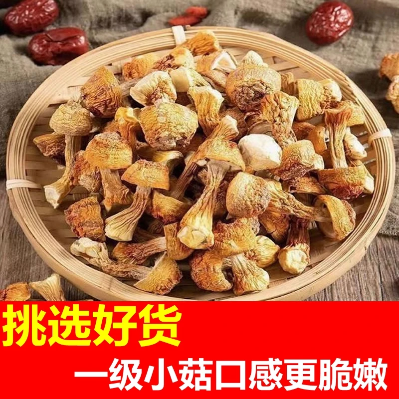 云南特产姬松茸干货巴西菇松茸菌菇正宗品山货炖汤煲汤食材鸡姖菇
