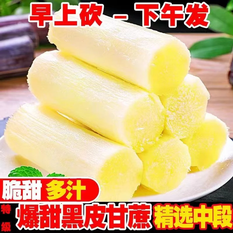 广西黑皮甘蔗新鲜现砍孕妇水果应季榨汁脆甜杆批发3/5/10斤包邮