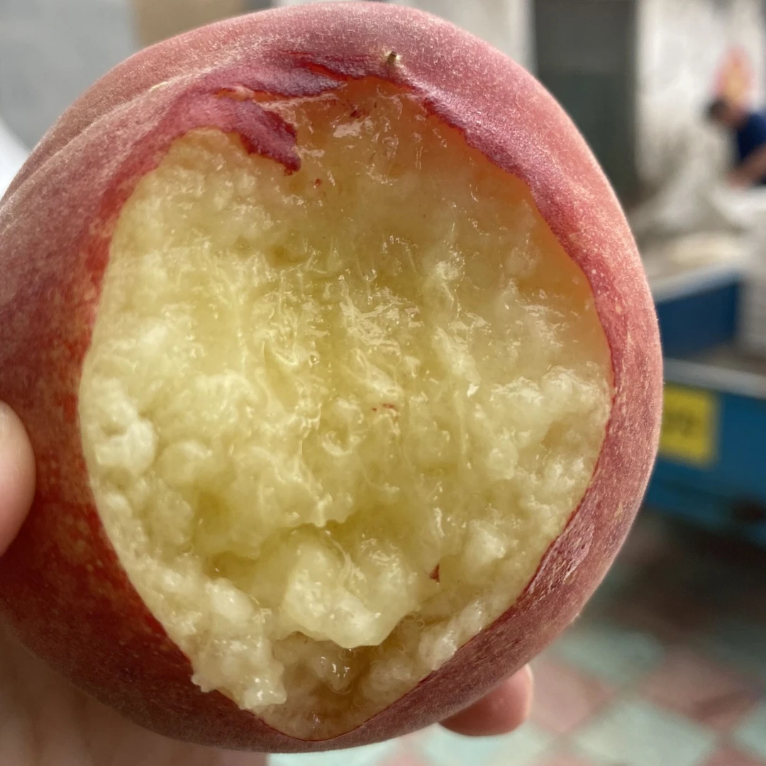 [顺丰包邮]砀山露天水蜜桃净重8.5-9斤