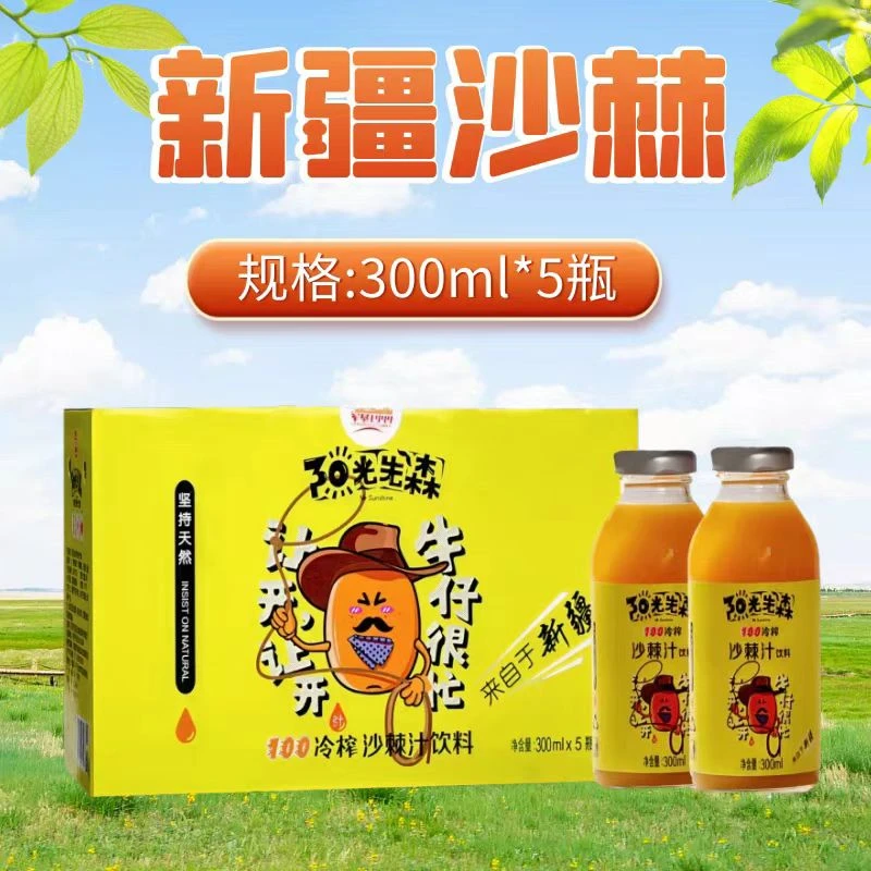 风趣【冷榨】300ml×5瓶装沙棘汁饮料