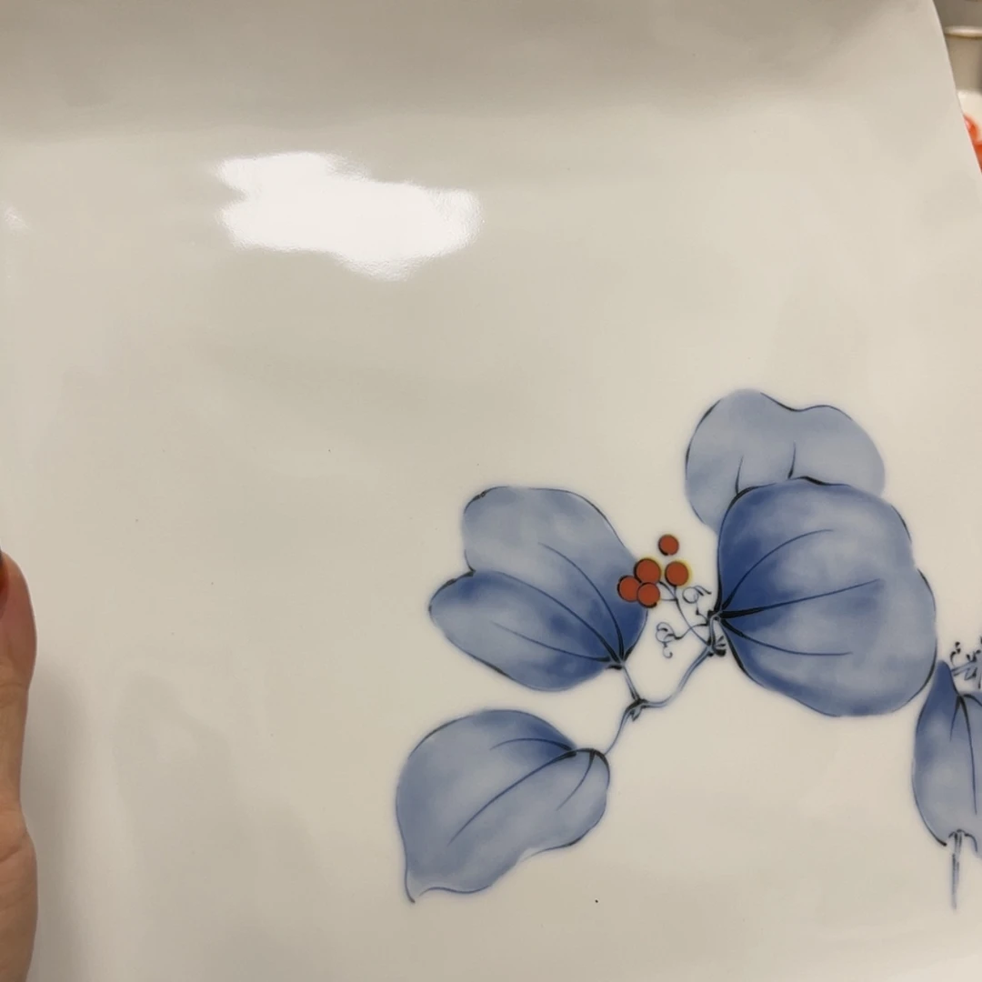 【闪购商品】密胺碟