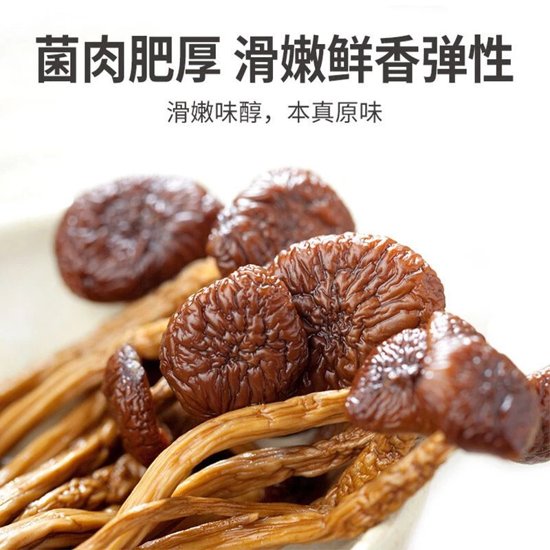 【不开伞茶树菇】古田农家特产干货新货茶树菇煲汤爆炒营养美味净重