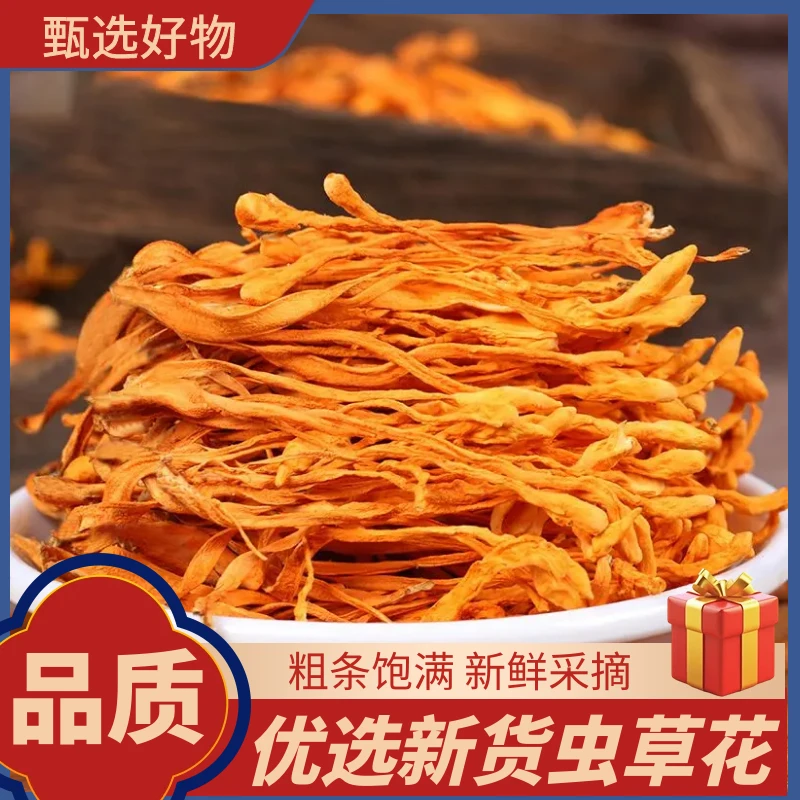 【虫草花新货】新鲜干货虫草花商用金虫草蛹虫草菌菇煲汤营养特产