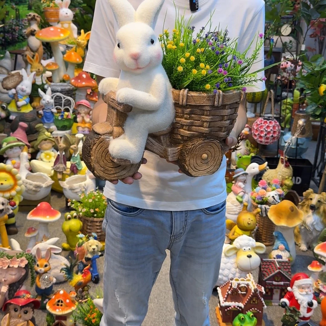 红陶20CM（含）-50CM（不含）