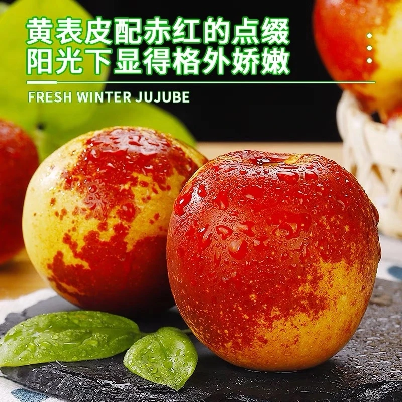 沾化冬枣【冰糖冬枣】到手5斤一整箱沾化果园现摘多汁红枣正宗沾化
