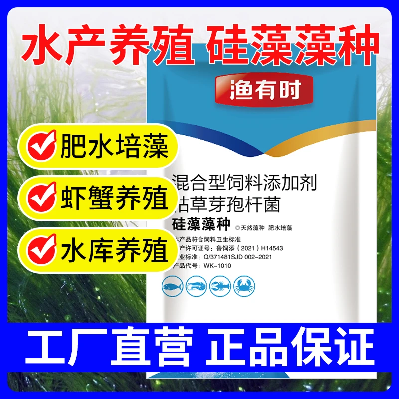 硅藻原藻种粉末效果好