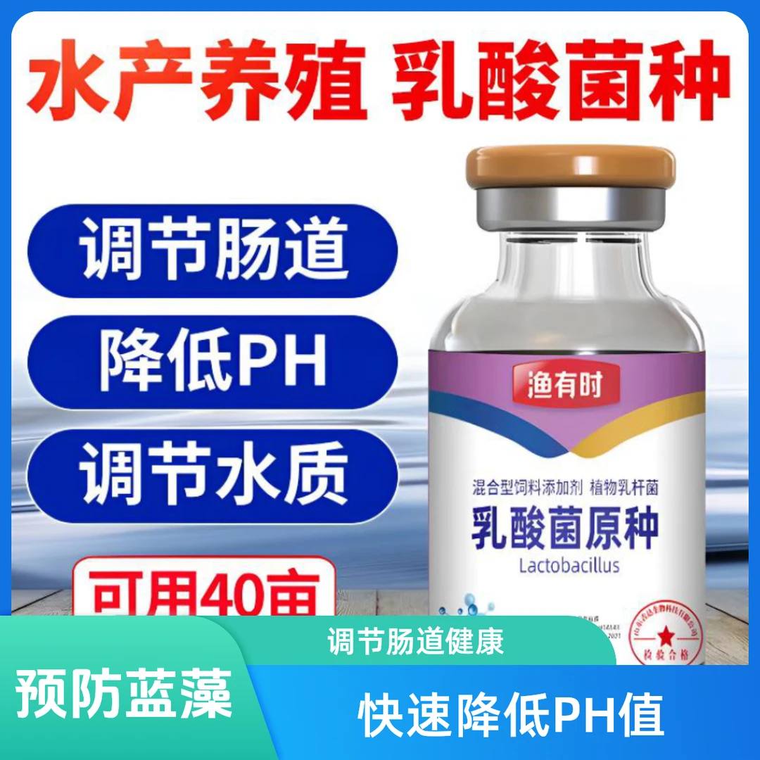 乳酸菌原种发酵料调节水质ph值预防蓝藻