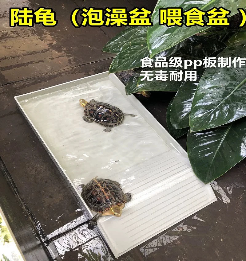 陆龟半水龟泡澡盆塑料乌龟洗澡盆黄缘泡澡盆乌龟喂水喂食盆