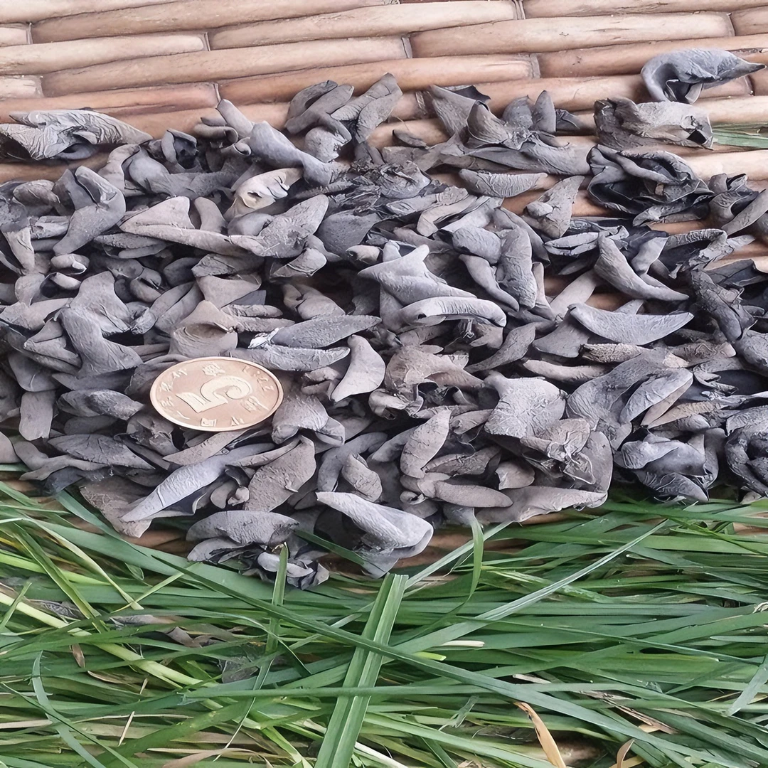 东北头茬秋木耳小碗耳肉厚无根送礼佳品东北特产椴木耳干货黑山