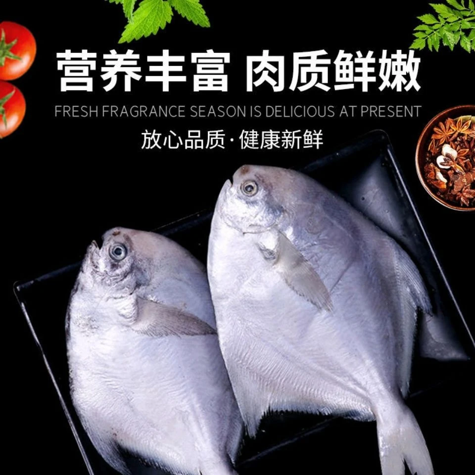 （顺丰包邮）海捕捕捞肉质鲜美速冻银鲳鱼冷冻美味清蒸