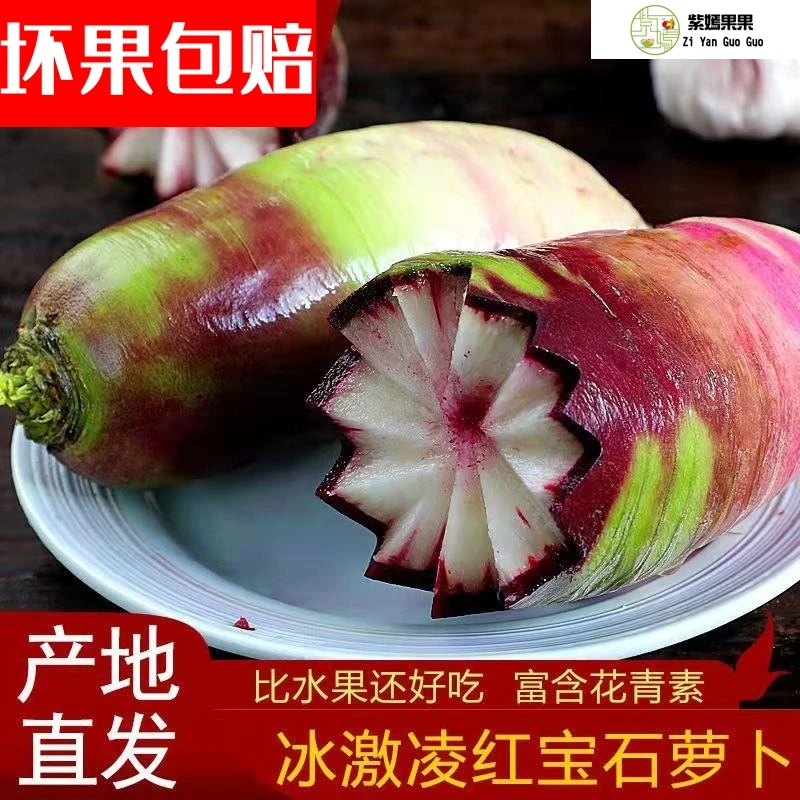 正宗山东潍坊冰淇凌水果萝卜3斤/4.5斤/5斤装生吃口感脆爽微甜