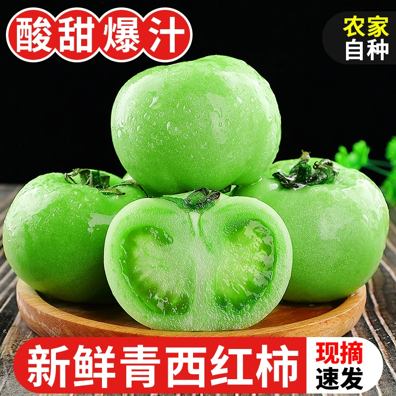 湖北荆州农家自种蔬菜田园现摘青番茄产地直发青西红柿