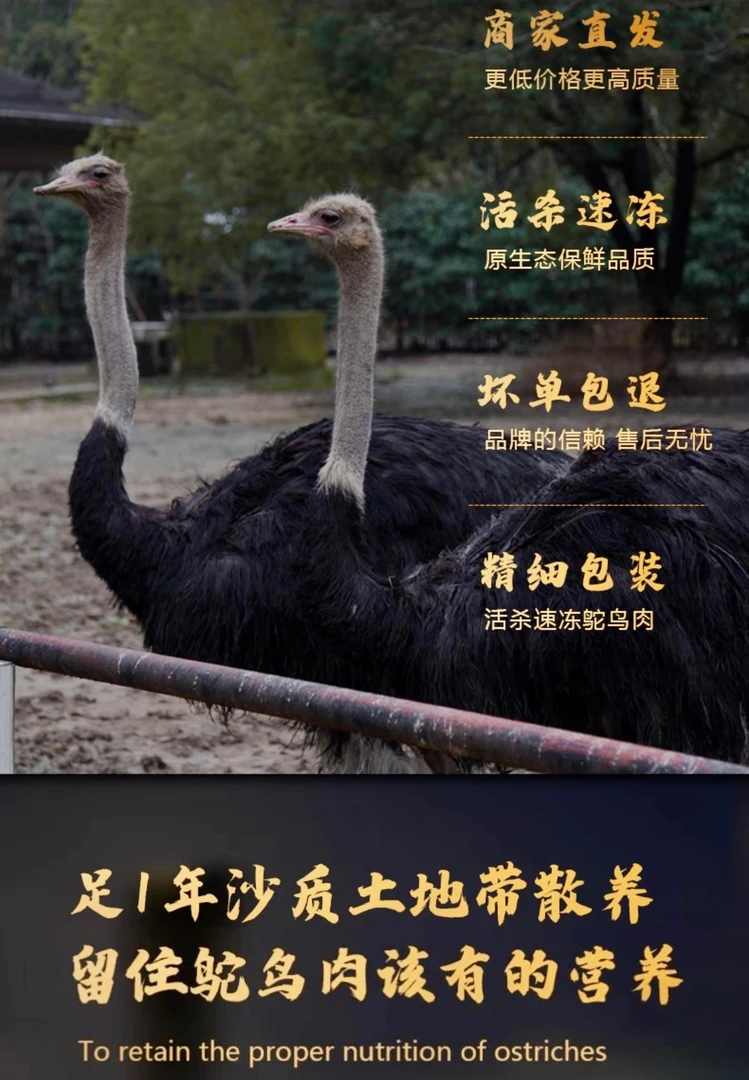 驼鸟腿（10-13斤）  营养丰富低脂肪高蛋白真空包装味鲜美味农场