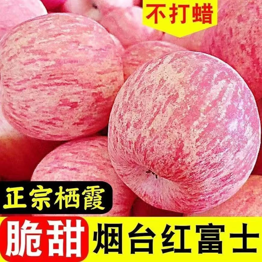 【买5斤送5斤带箱9-10斤】正宗烟台2024年栖霞红富士  现摘现发脆甜