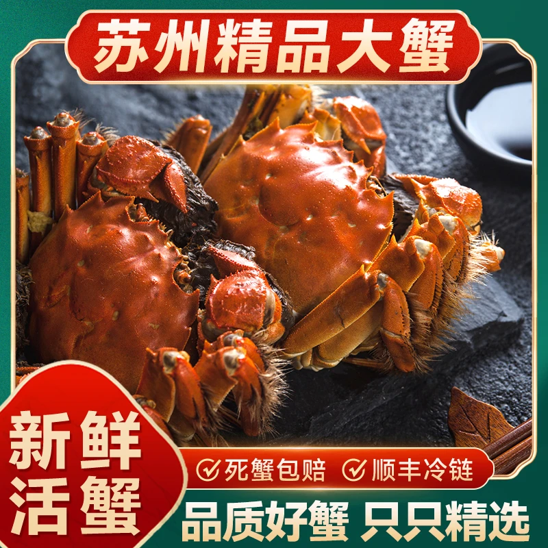 秋味欢鲜活大闸蟹母蟹2.5两8只公蟹3.0两2只到手10只