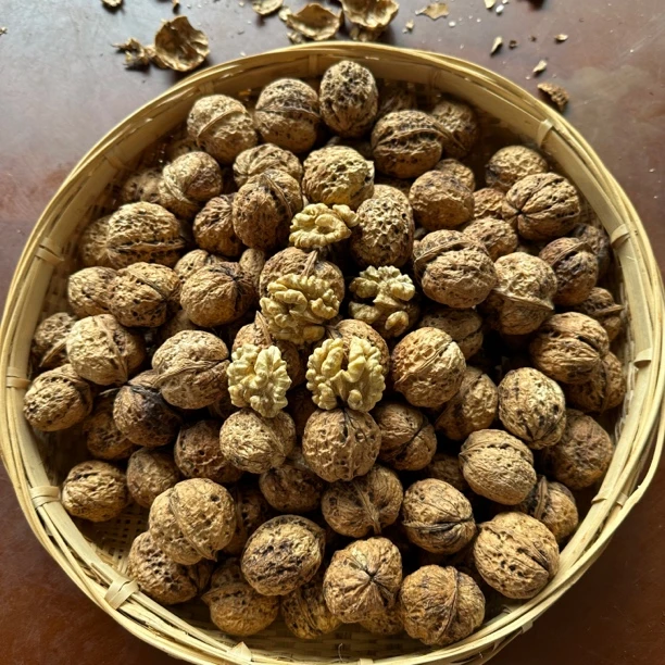 云南特产山货高山老树新货核桃薄皮薄壳坚果农产品