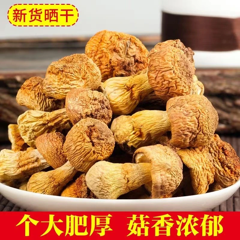 贵州赤水无硫农家姬松茸250g散装干货菇类晒干新货