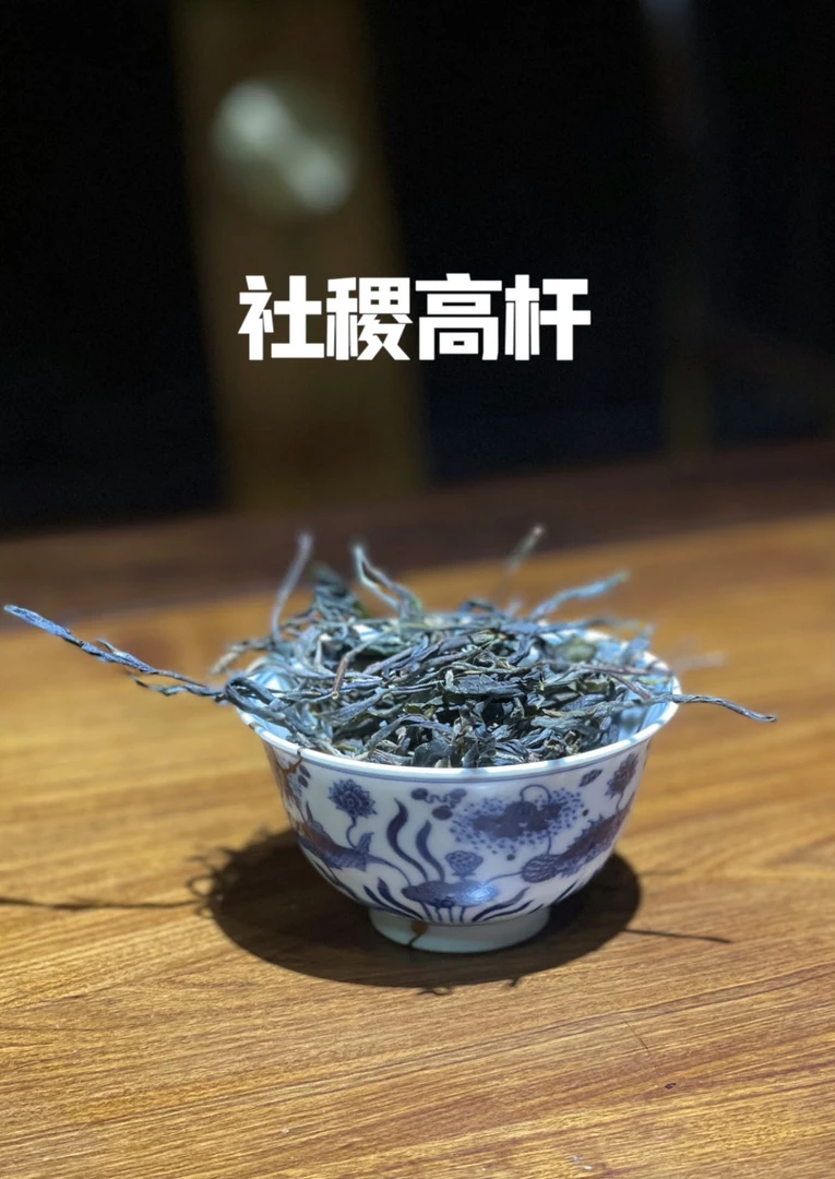 圆世号易武社稷高杆【标号树】2024年头春50克/罐普洱生茶