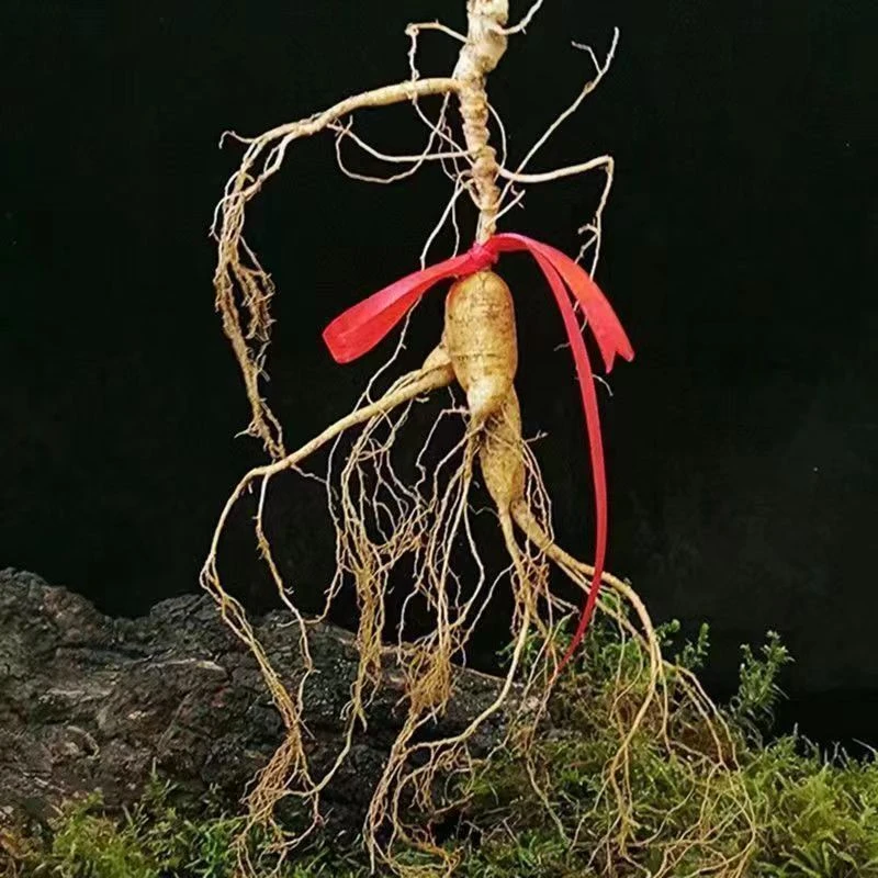 人参赶集代购改价链接长白山泡酒鲜参产地老煲汤品质