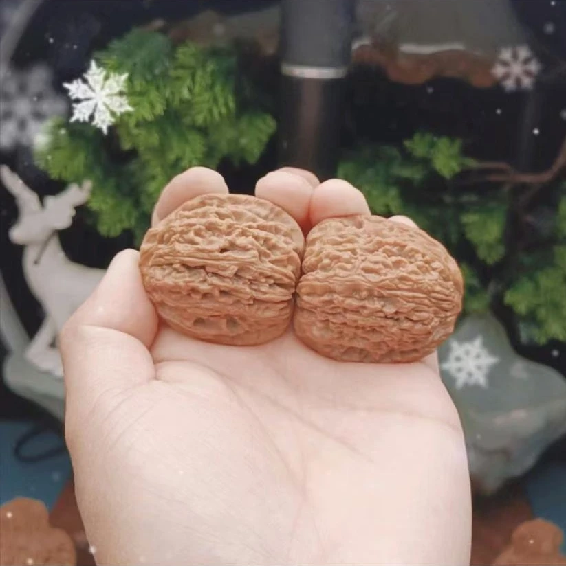 涿鹿老树南疆石原产地