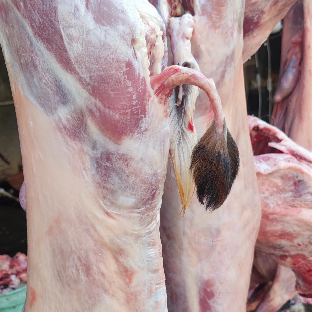 云南黑山羊羊肉烤全羊整羊切块xx%腿排/12斤/16斤/20斤