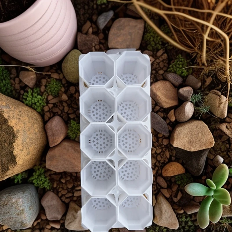 多肉植物塑料花盆八角杯托架整套