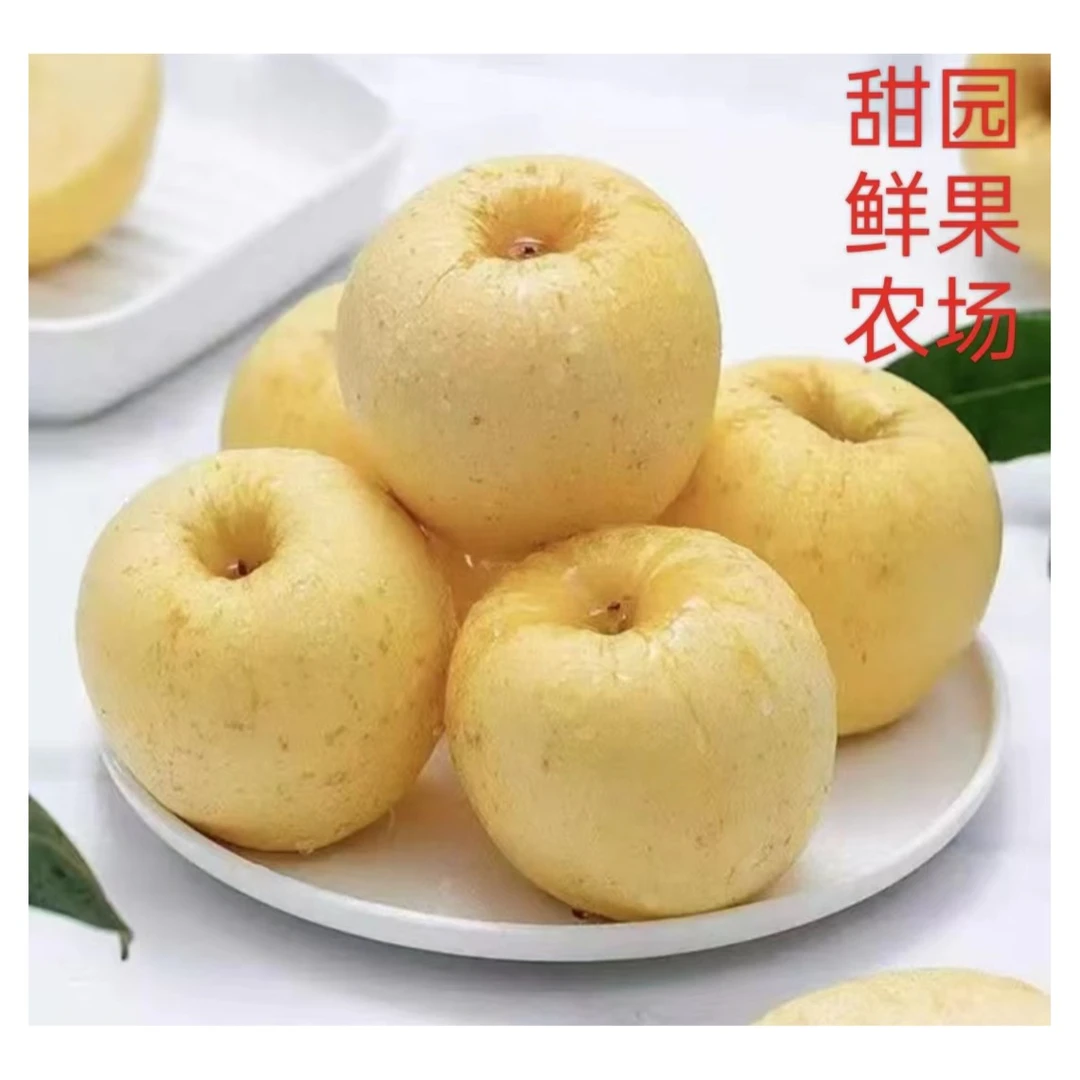 山东烟台正宗奶油富士苹果 产地直发 脆甜多汁 5斤7-9粒装包邮