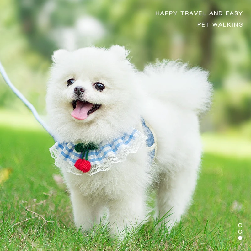 狗狗牵引绳可爱胸背带遛狗多色泰迪舒适犬狗链宠物用品卡通狗绳子