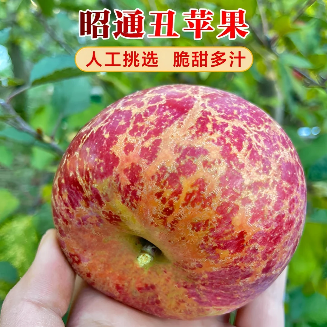 【正宗红富士】精选云南糖心苹果产地直发丑苹果脆甜现当季新鲜水果