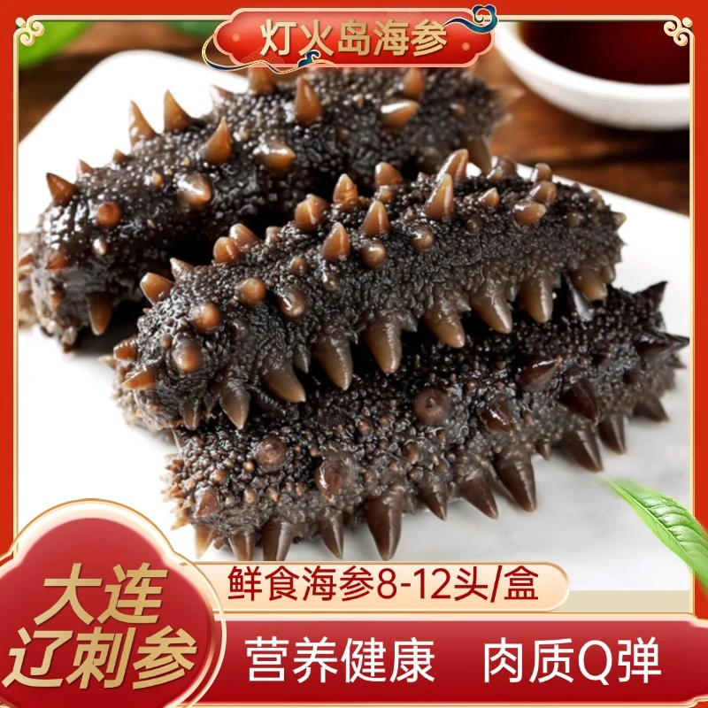 灯火岛鲜食海参500g/盒 8-12头辽刺参 大连辽参 8A品质 开袋即食