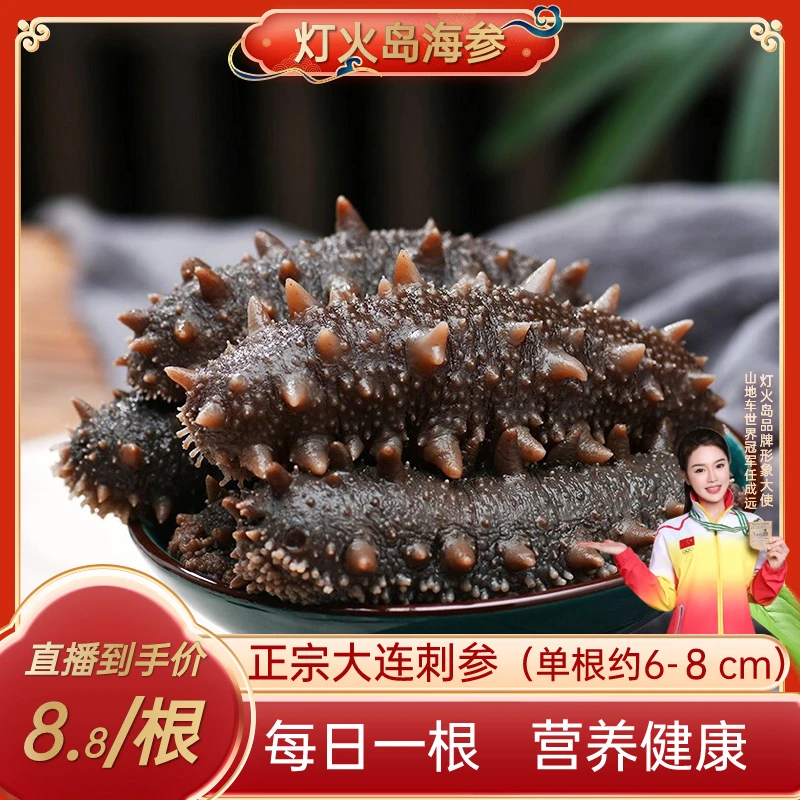 【粉丝专享】大连海参约6-8cm  精选辽刺参一盒20根500G Z