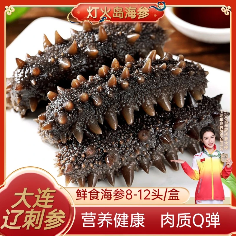 鲜食海参500g/盒 辽刺参正宗大连辽参 8A品质 开袋即食
