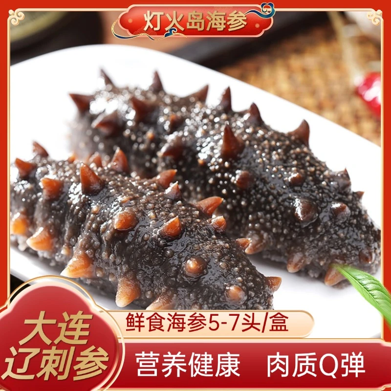灯火岛 鲜食海参500g/盒 5-7头辽刺参大连辽参 9A品质 开袋即食