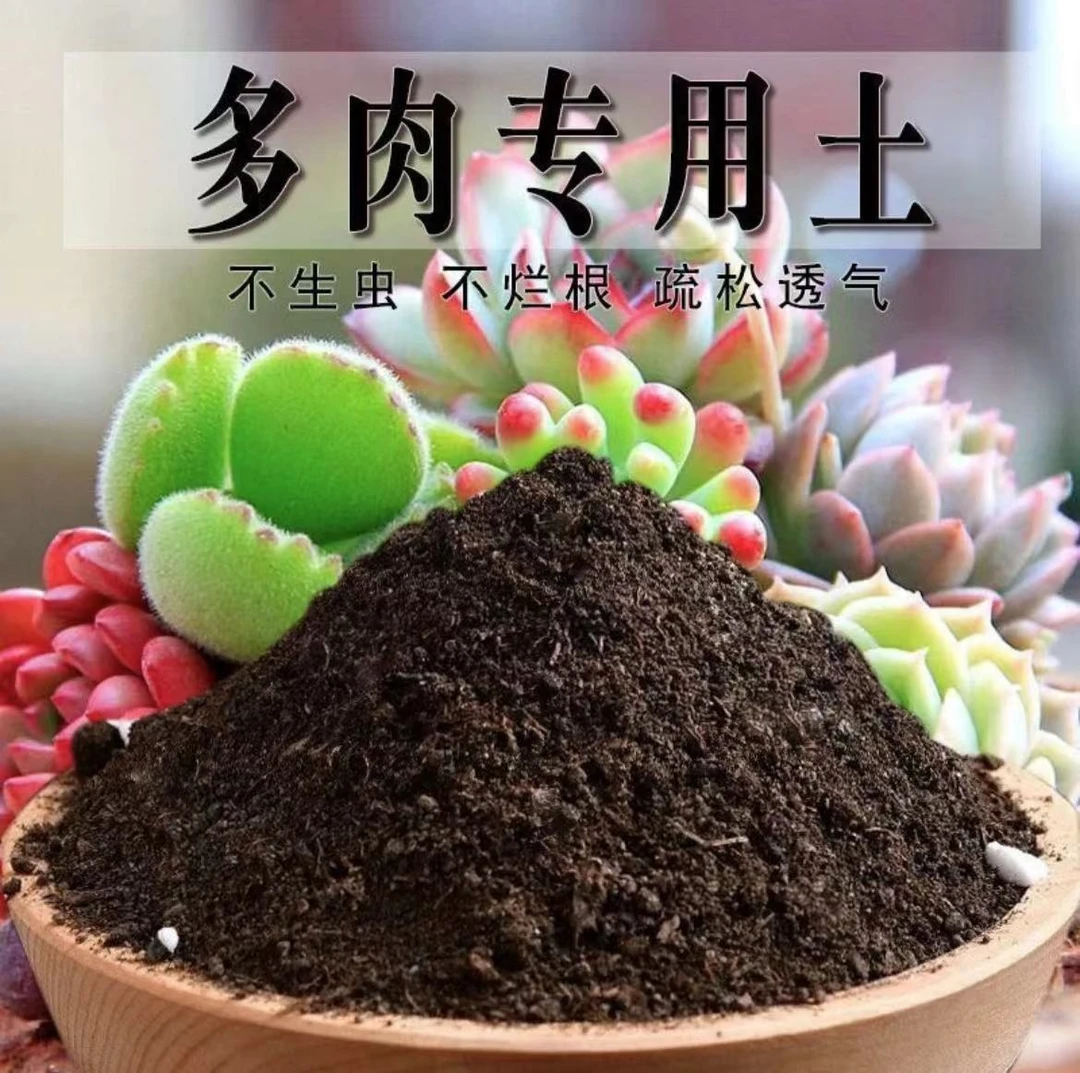 【多肉专用营养土】通用泥炭营养土 控色控形 养花种菜必备