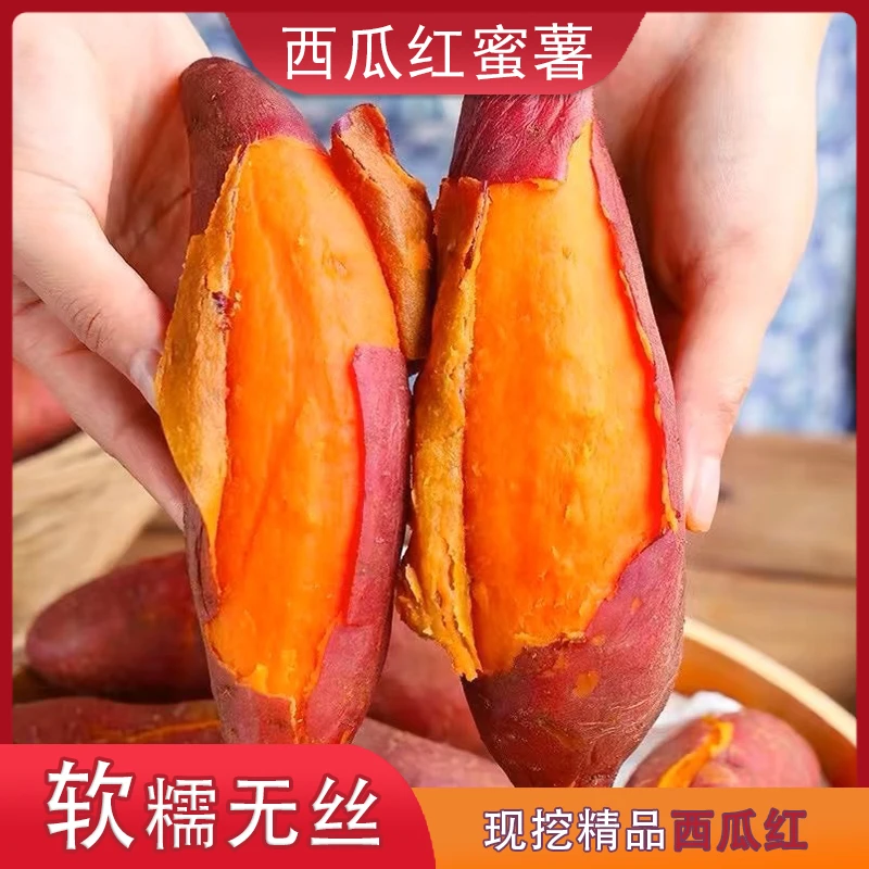 【西瓜红蜜薯】沙地蜜薯香甜肉质细腻新鲜现挖美味地瓜番薯入口即化