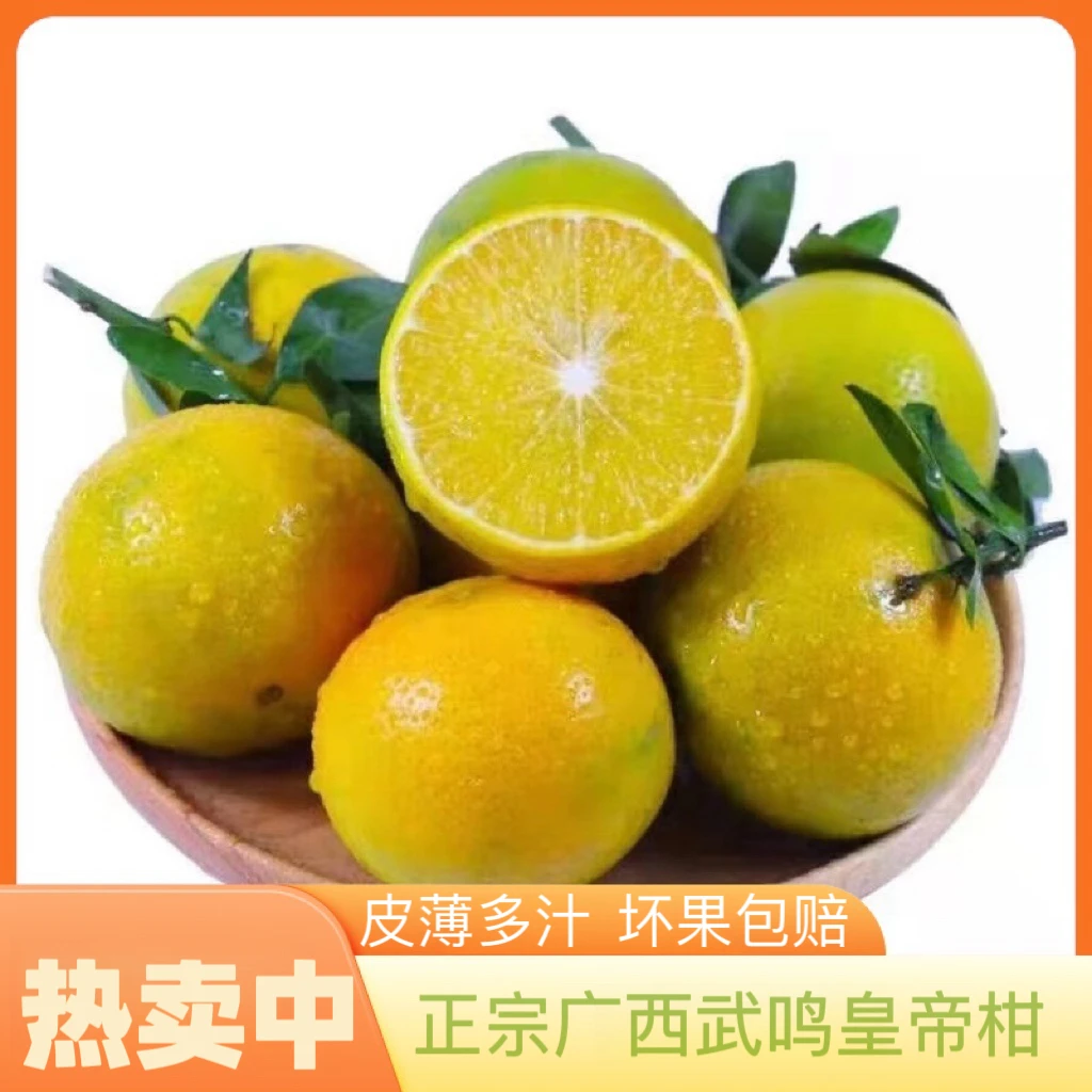 【申通/中通】广西武鸣老树果皇帝柑贡柑 5/9斤装新鲜采摘产地直发