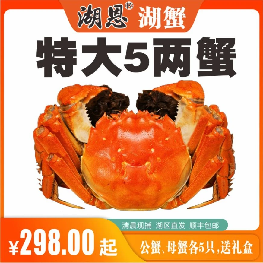 高邮湖大闸蟹6两公5两母特大蟹10只活蟹标准养殖新鲜发货阳秋澄